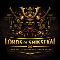 Formation Lords Of Shinsekai