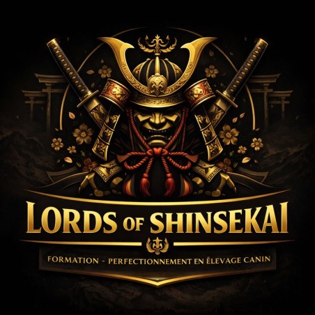 Formation Lords Of Shinsekai