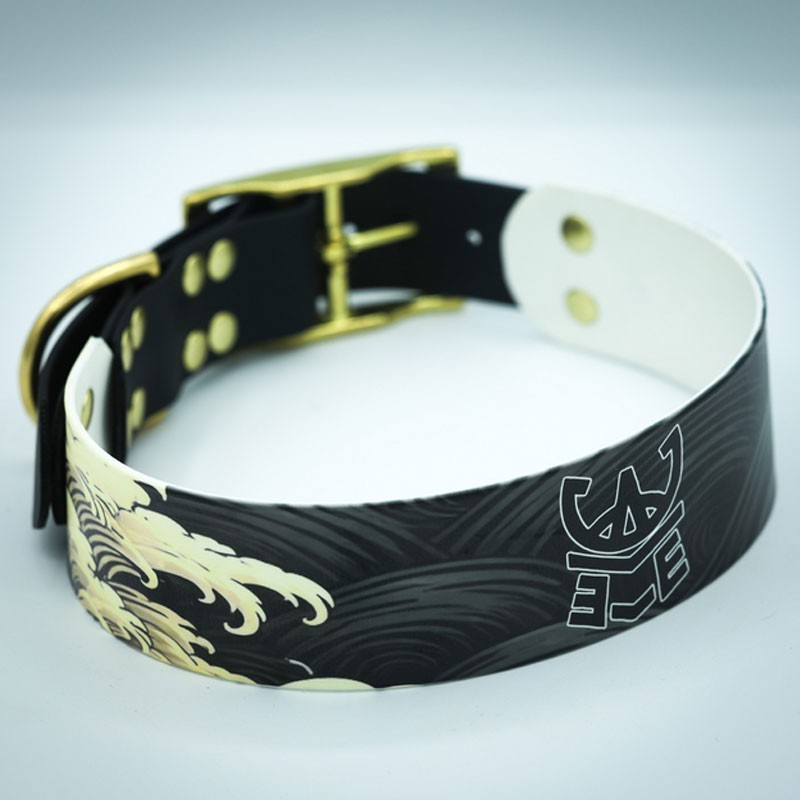 Collier Chien d’exception gris